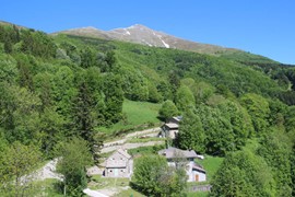 casa croce di fechin dal 28 aprile al 1 maggio a solo €180 per 4 persone...