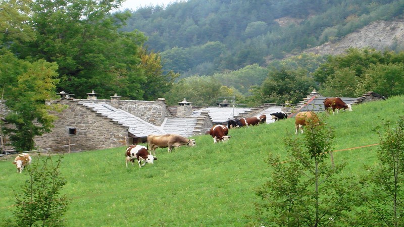 Agriturismo Il Borgo dei Celti