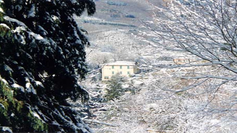 Hotel Villa Patrizia